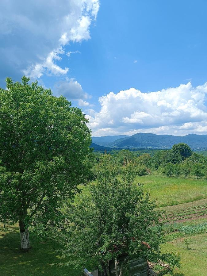 Apartman Plum Plitvice Drežnik Grad Eksteriør bilde