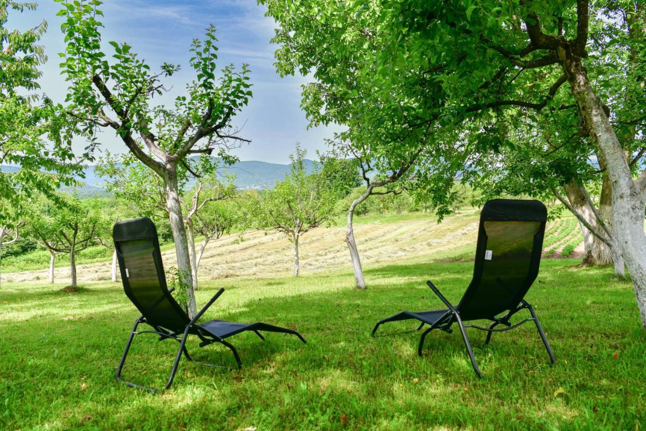 Apartman Plum Plitvice Drežnik Grad Eksteriør bilde