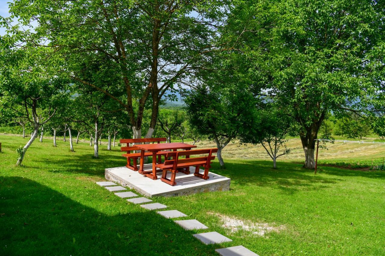 Apartman Plum Plitvice Drežnik Grad Eksteriør bilde